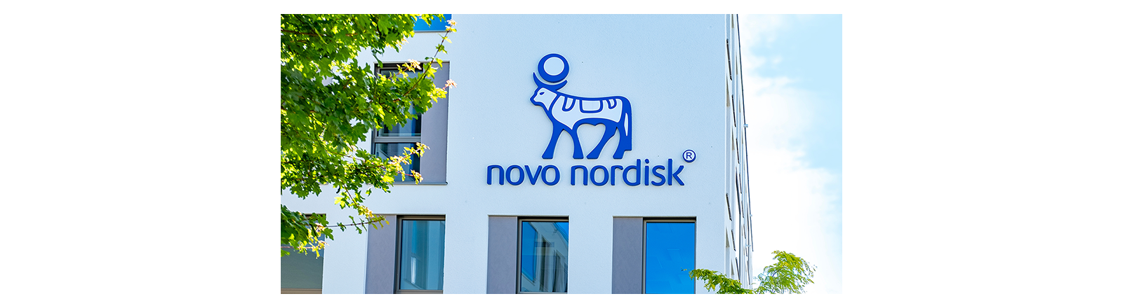 Novo Nordisk